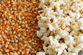 POPCORN 500 GRM